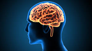 What Actually Is ADHD Anyway?